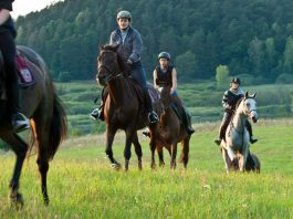 Jazda na koniu jako sposób na relaks
