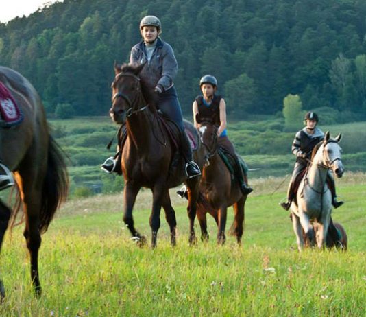 Jazda na koniu jako sposób na relaks