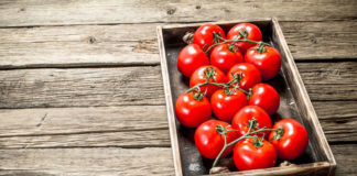 Jak odpowiednio uprawiać pomidory?