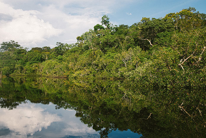 Przyrodnicze bogactwo Amazonii