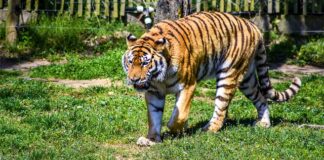 Gdzie warto odwiedzić w Polsce?