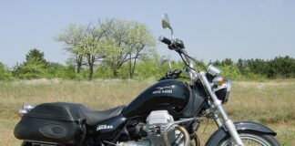 Jaki spławik na małe rybki?