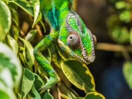 Jak długo trwa lot na Madagaskar?