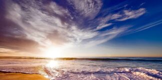 Czy picie kawy rozpuszczalnej jest zdrowe?