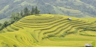 Czy warto jechać na Phi Phi?