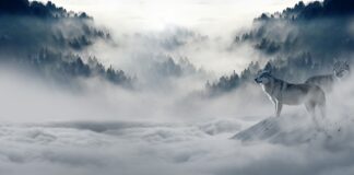 Gdzie na zimowy spacer w Warszawie? Gdzie na zimowy spacer w Warszawie?