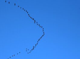 Gdzie lecieć we dwoje?