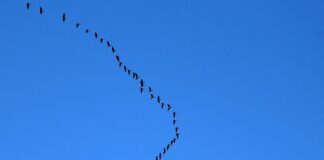 Gdzie lecieć we dwoje?