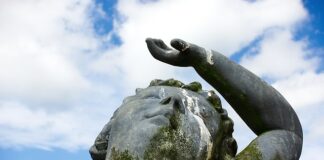 Gdzie wyrzucać odchody kota?