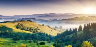 Jak długo leci się z Polski do Indii?