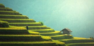 Ile czasu leci się na Bali?