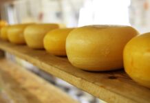 Ile jest rodzajów sera we Francji?