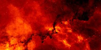 Czy kawa wypłukuje wapń z organizmu?