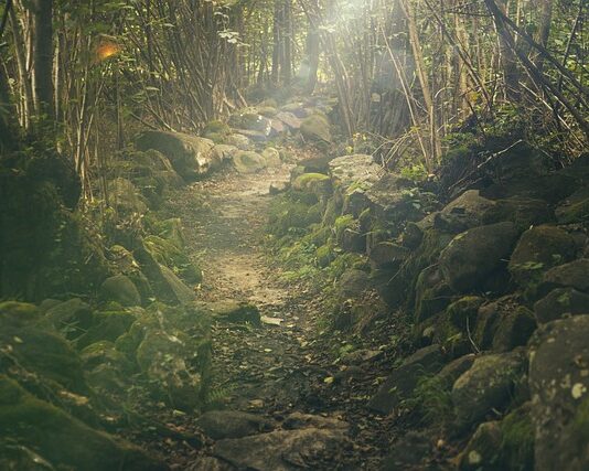 Ile kosztuje wycieczka do Tajlandii na 2 tygodnie?