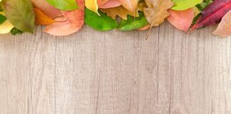 Co zwiedzić blisko granicy?