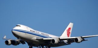 Czy w Chinach żyją tygrysy?