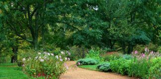 Jaki żwirek dla kota można spuszczać w toalecie?