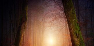 Jak spędzić romantyczny weekend we dwoje?