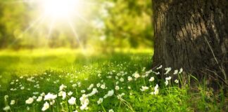 Jakie są najpiękniejsze miejsca w Polsce?