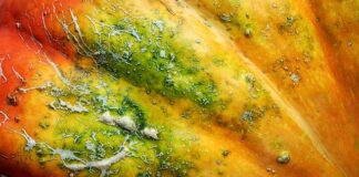 Gdzie straszy w Warszawie?