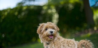 Kiedy upały w Polsce 2023?