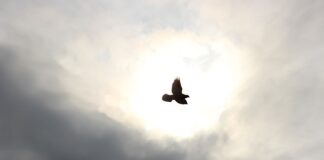 Ile kosztuje przelot z Katowic do Tajlandii?