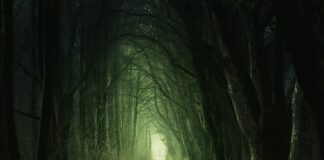 Czy można zamieszkać w opuszczonym domu?