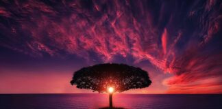 Nad jakim oceanem nie latają samoloty?