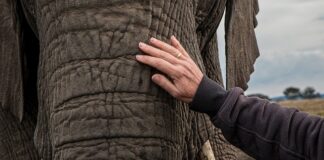 Jak szybko utwardza się żywice?