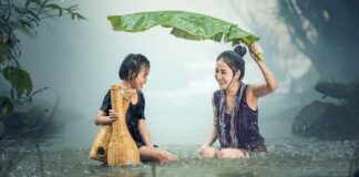 Jak się nazywa dziecko delfina?