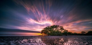 Ile kosztuje lot do Australii?