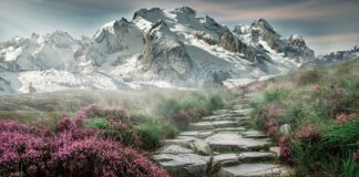 Gdzie tanio pojechać w góry?