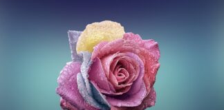 Czym się różni kategoria 6 od 6A?