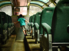 Wycieczka do Spreewaldu